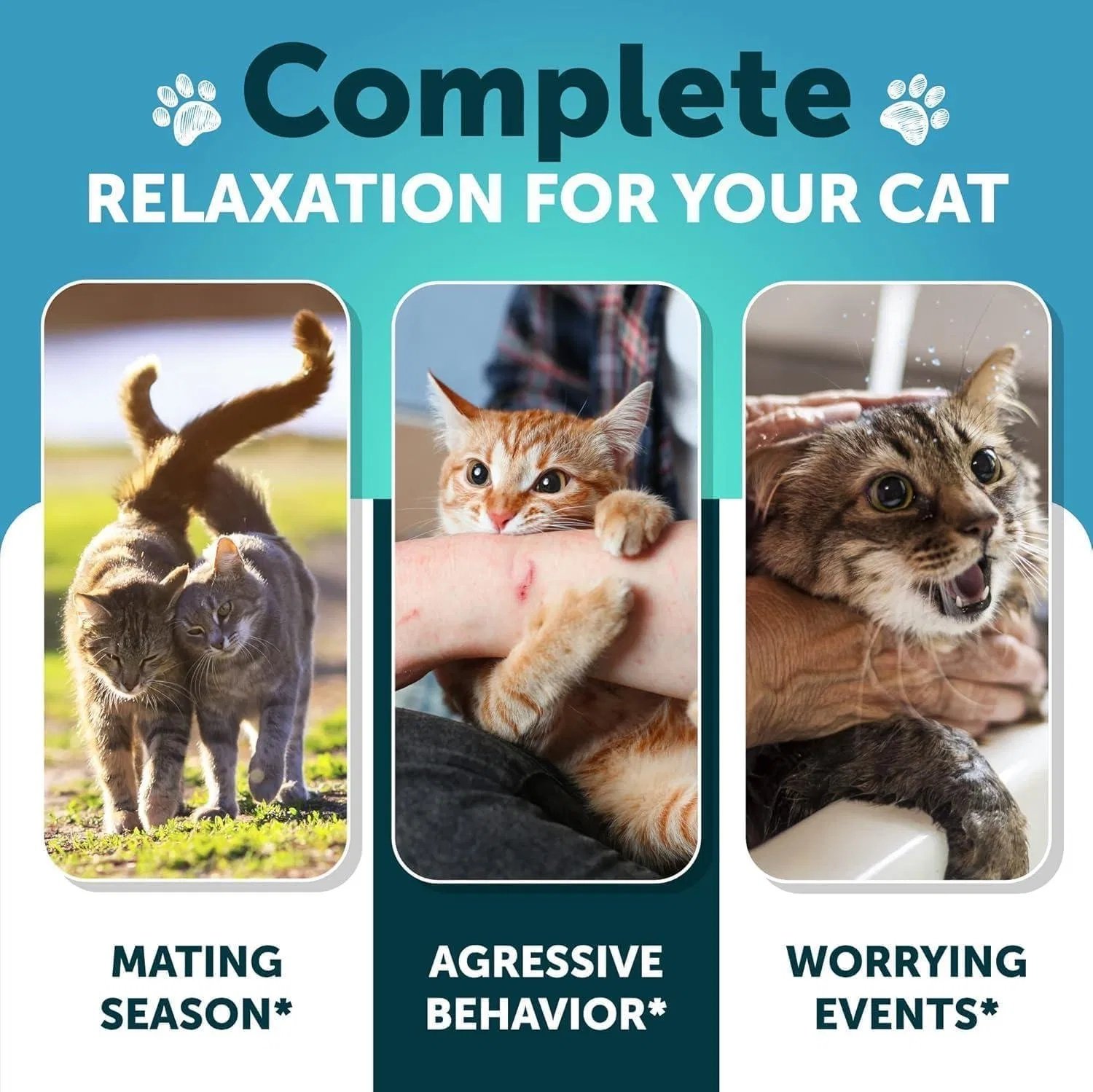 Do Not Sell On Amazon Hemp Cat Calming Treats For Stress & Anxiety Relief Cat Kittens Melatonin - Image 6