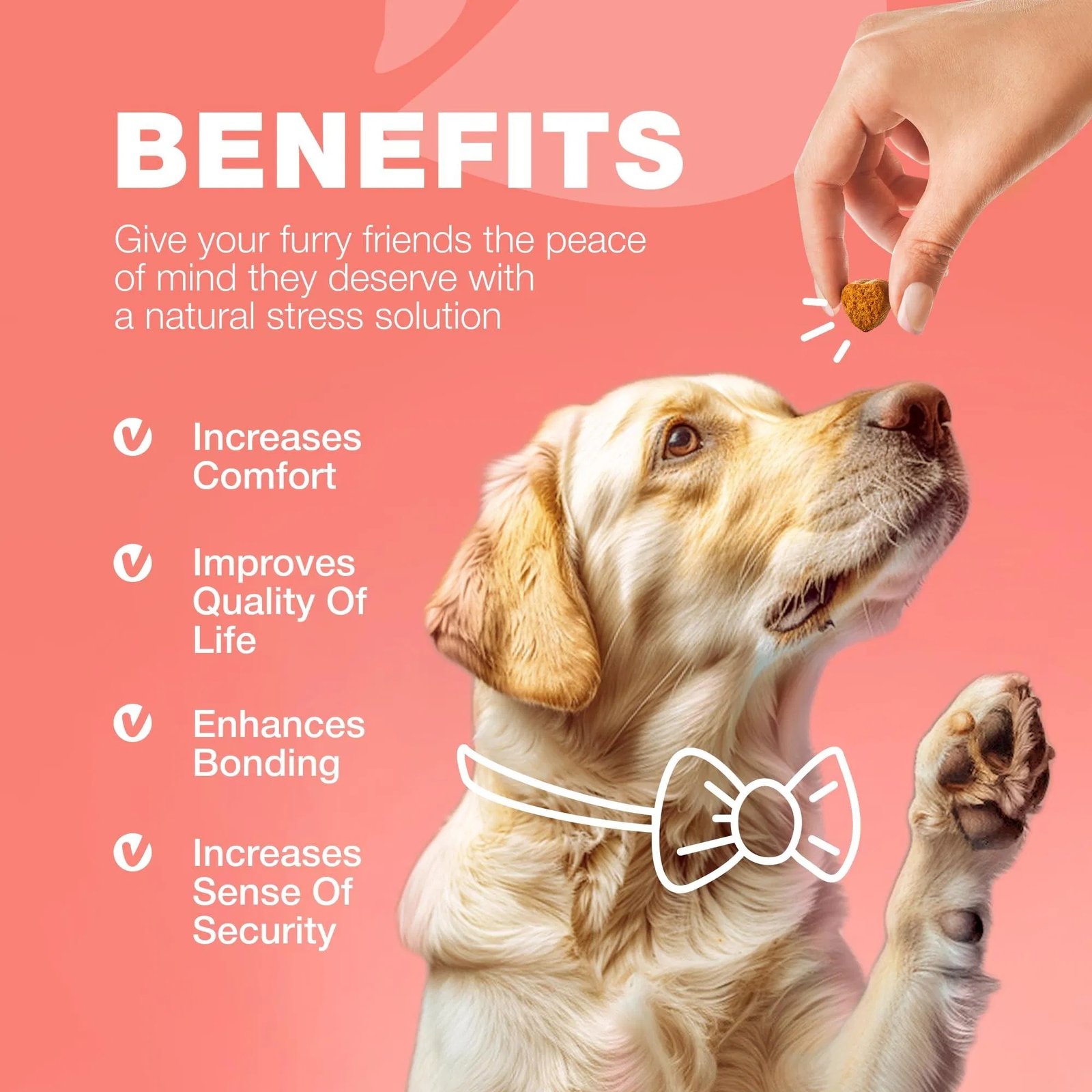 Dog Flea And Tick Treatment Chews FleaTick Prevention For Dogs Chewables Natural Dog Flea & Tick Control Soft Treats Immune Support Supplement - Image 9
