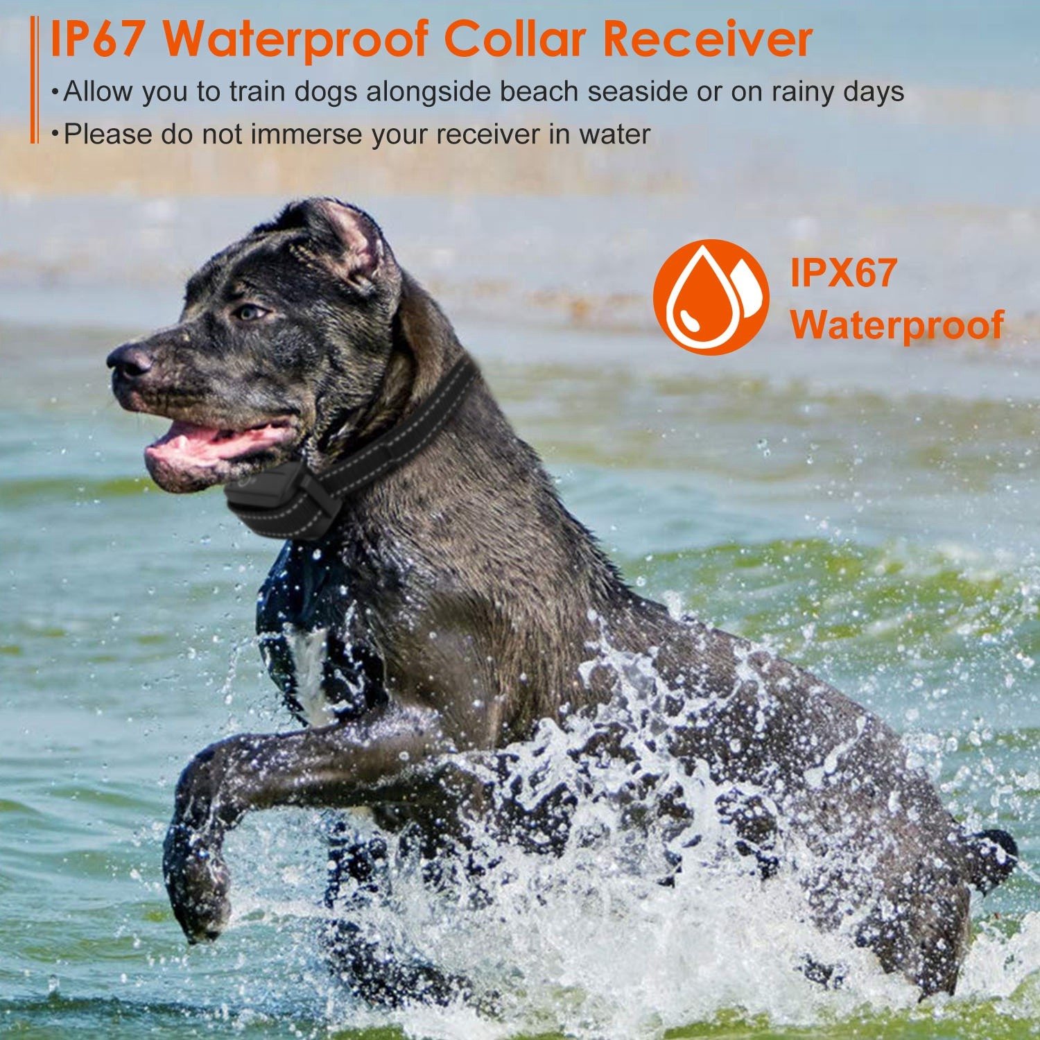 Train Collar OR Receiver Only Options - 3280FT Dog Training Collar IP67 Waterproof Pet Beep Vibration Electric Shock Collar 3 Channels Rechargeable Transmitter Receiver Trainer With Flashlight - Image 6