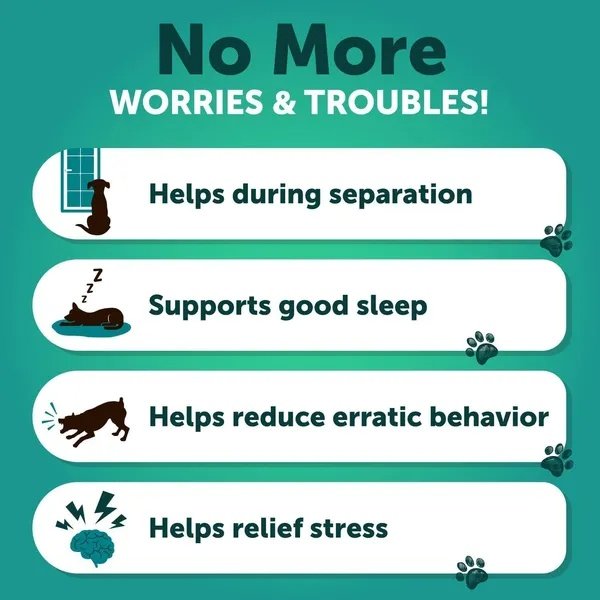 Hemp Calming Chews For Dogs Dog Anxiety Relief Treats With Hemp Oil Turmeric - Image 6