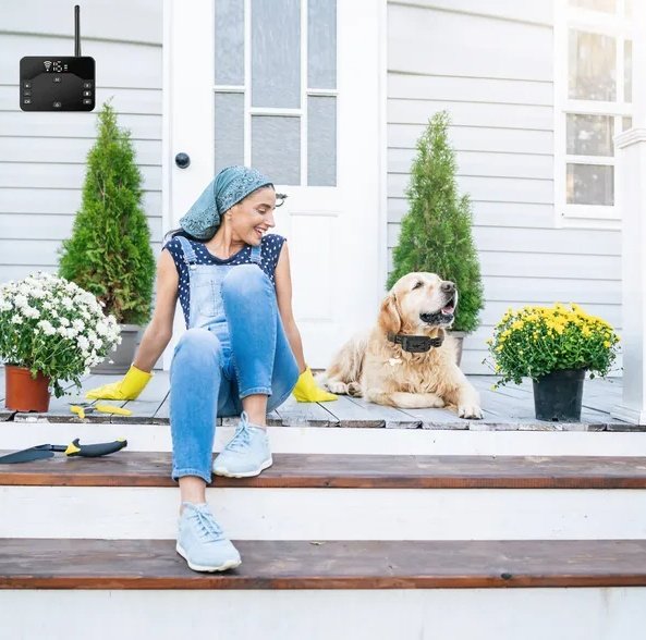 Wireless Electric Dog Fence Waterproof Pet Shock Boundary Containment System Electric Training Collar For Small Medium Large Dogs - Image 4