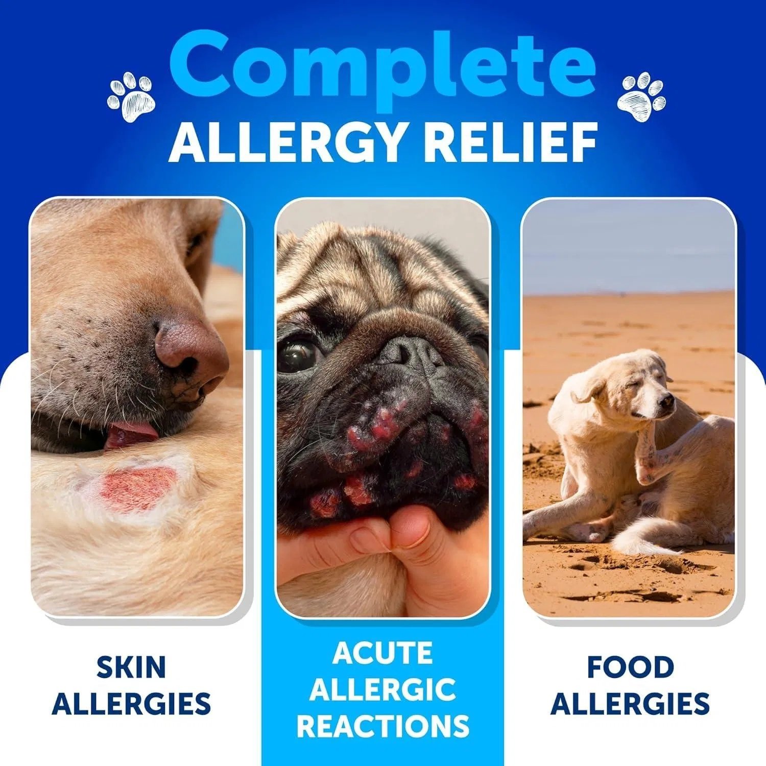 Do Not Sell On Amazon Dog Allergy Relief Chews Itching Skin Relief For Dogs - Image 5