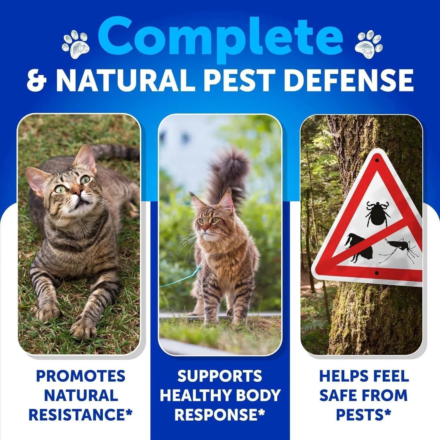Flea Treatment For Cats Natural Flea And Tick Prevention Supplement For Cats Kittens Chewable - Image 7