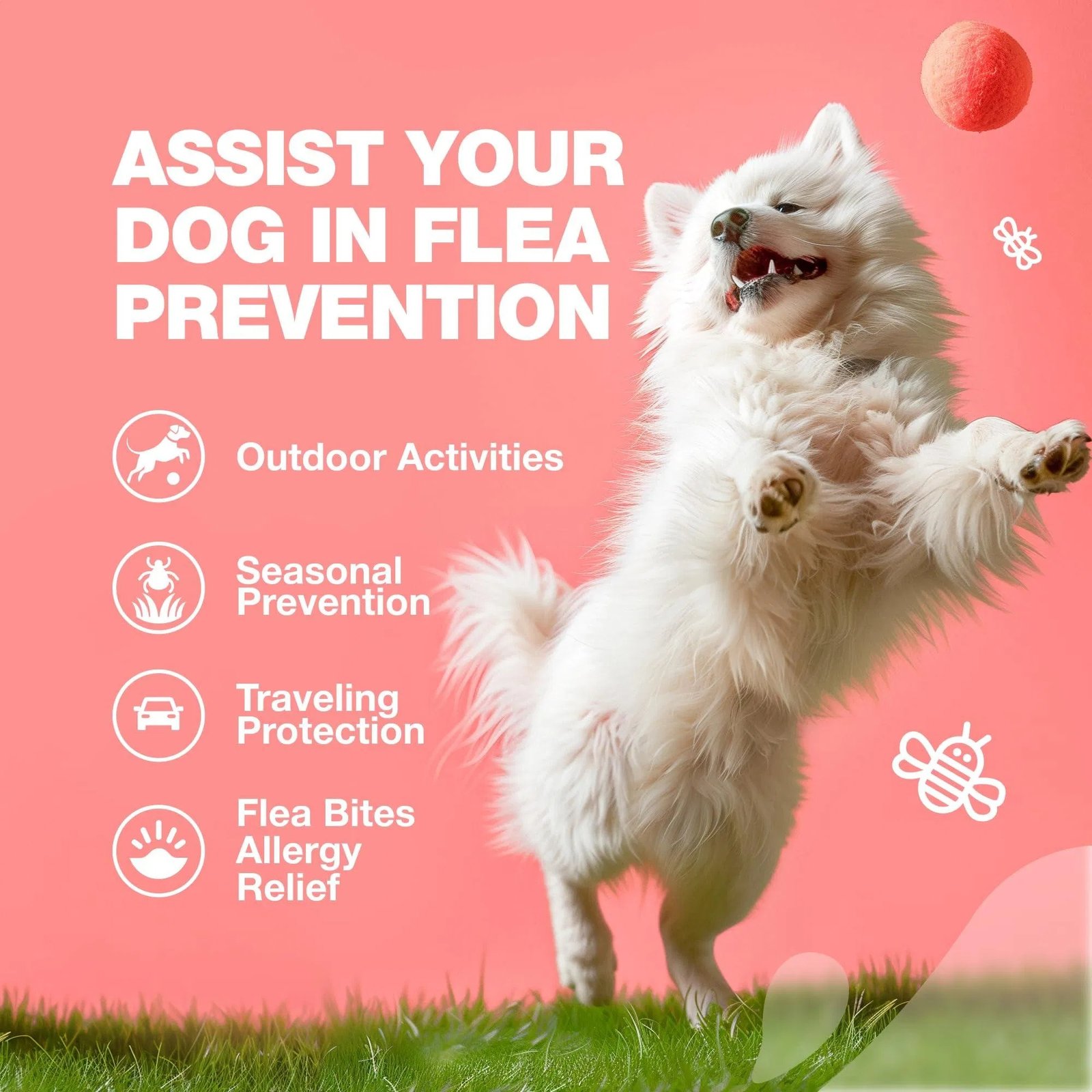 Dog Flea And Tick Treatment Chews FleaTick Prevention For Dogs Chewables Natural Dog Flea & Tick Control Soft Treats Immune Support Supplement - Image 2